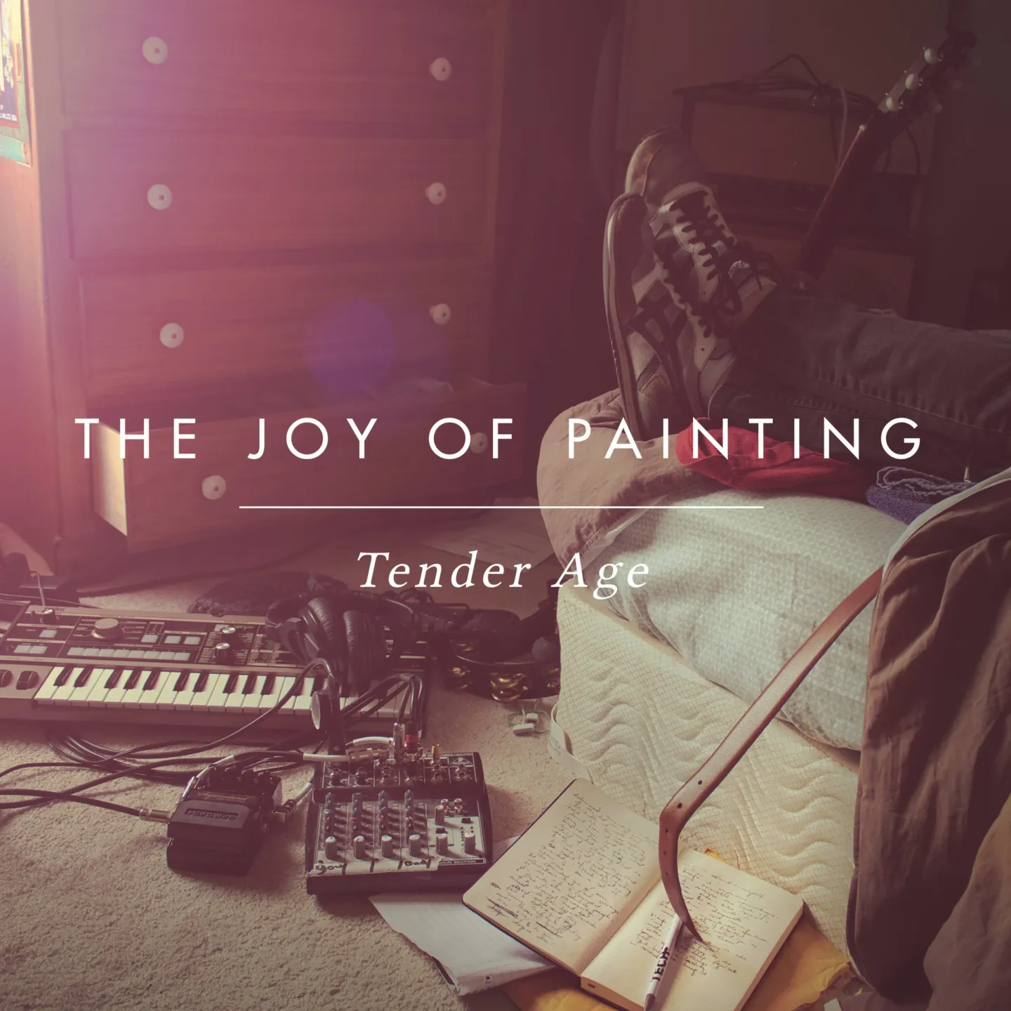 The Joy of Painting // Tender Age album art